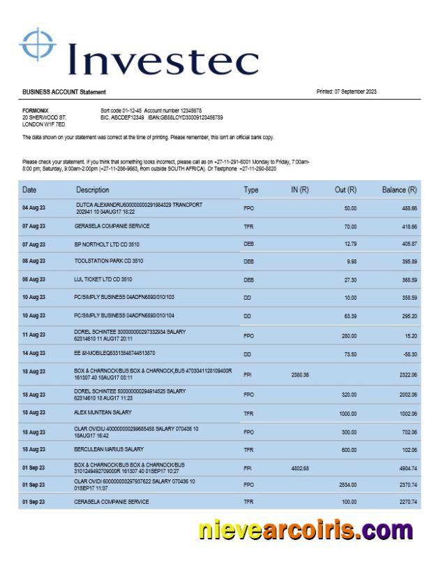 Investec Bank organization statement
